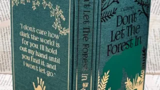 Don't Let The Forest In Rebind